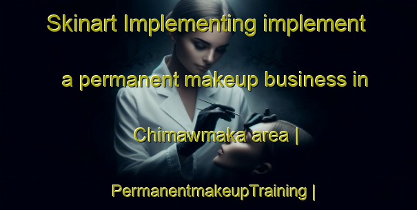 Skinart Implementing implement a permanent makeup business in Chimawmaka area | PermanentmakeupTraining | PermanentmakeupClasses | SkinartTraining-Zimbabwe